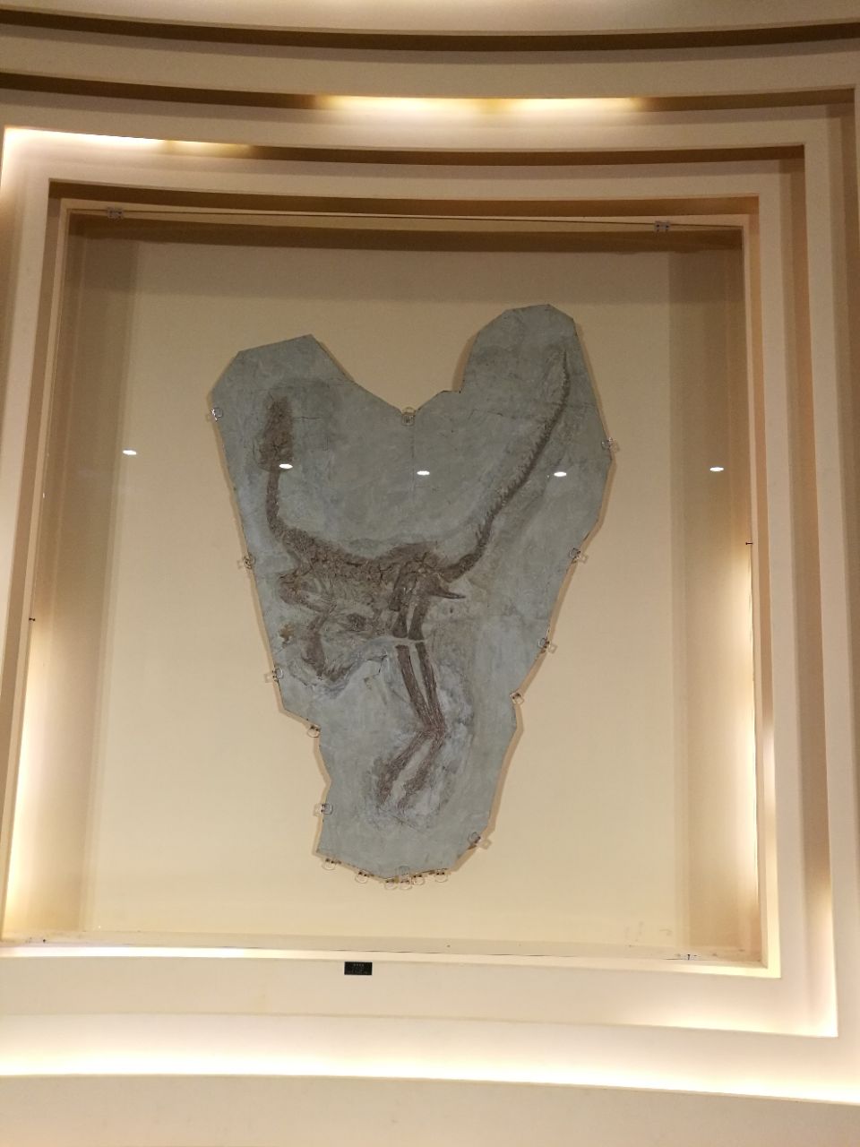 朝阳鸟化石国家地质公园