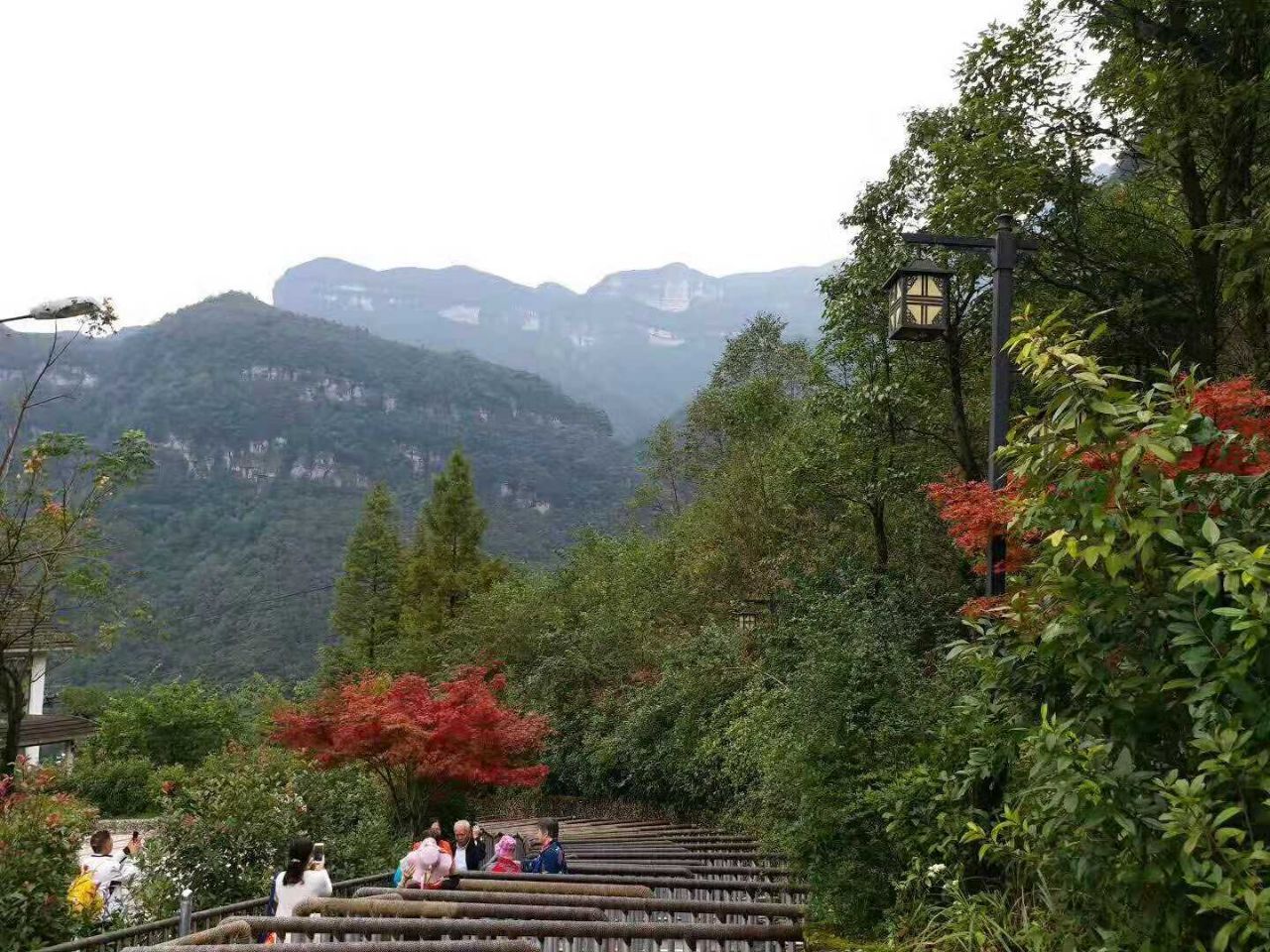 金佛山北坡景区