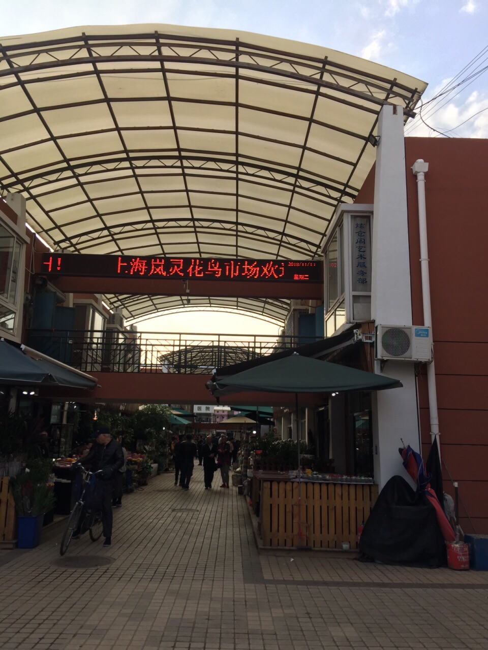 上海岚灵花鸟市场(灵石路店)购物攻略,岚灵花鸟市场()