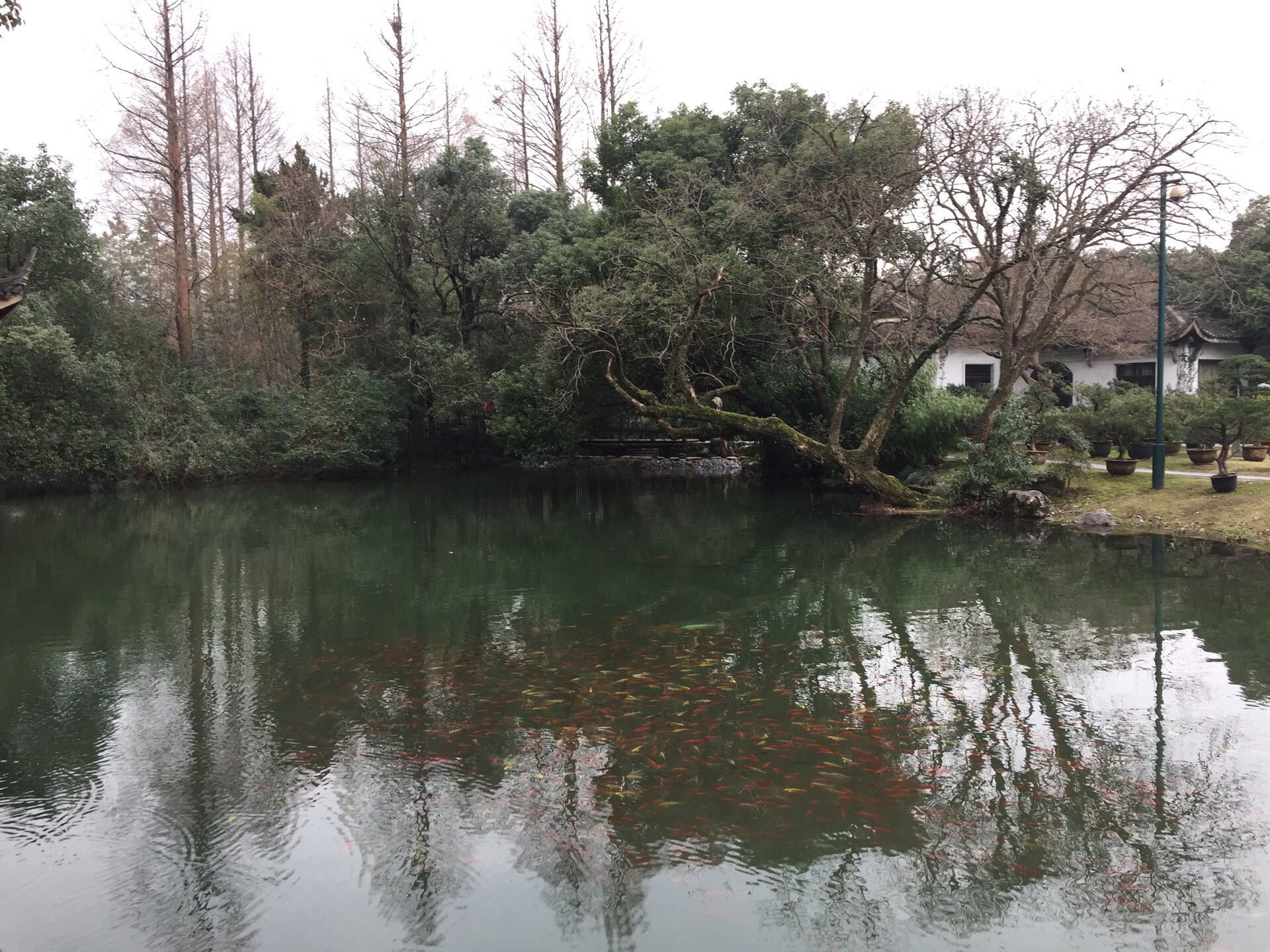 杭州花圃