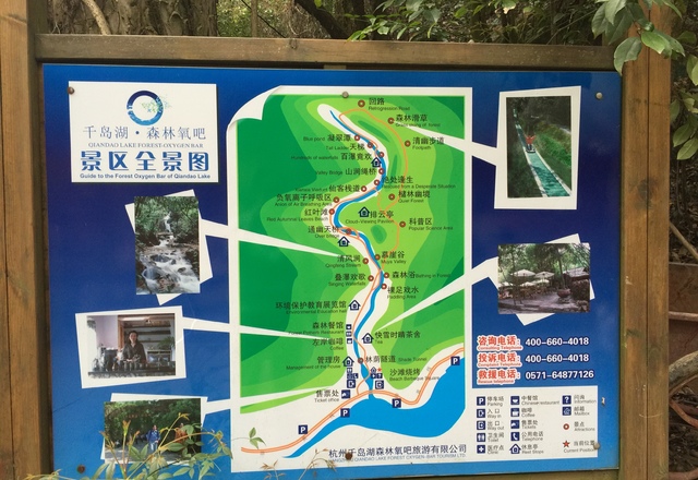千岛湖森林氧吧