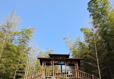 宜兴竹海国际氡泉