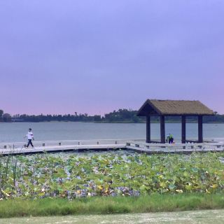凤凰湖