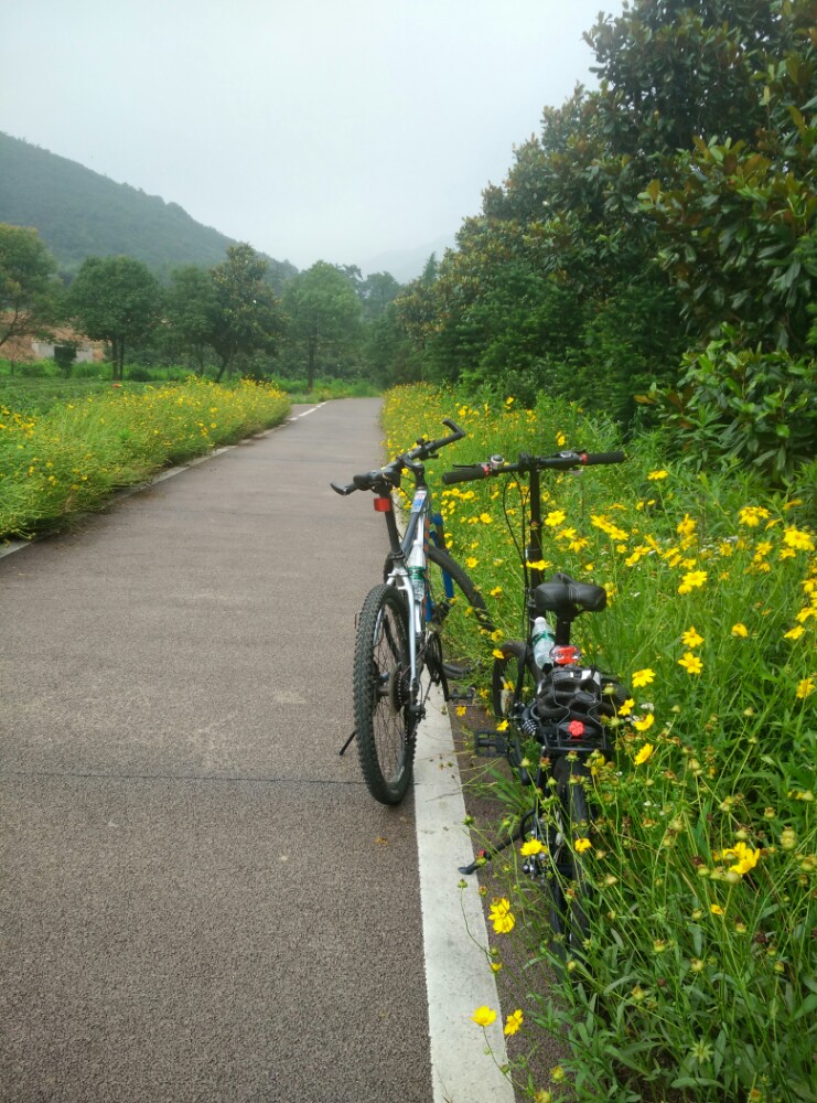 龙池山