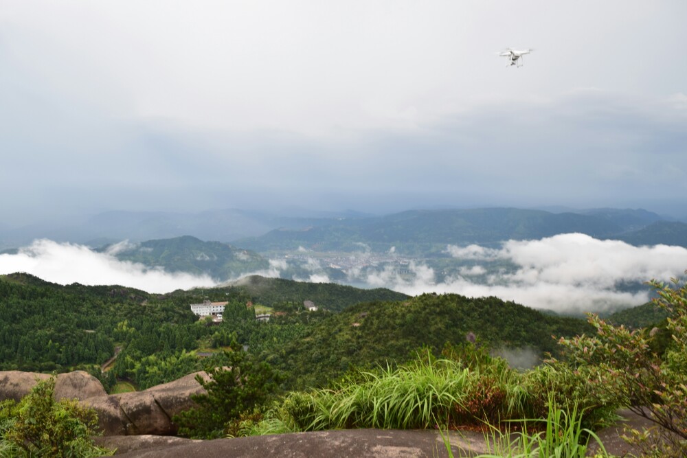 温州玉苍山森林公园好玩吗,温州玉苍山森林公园景点样