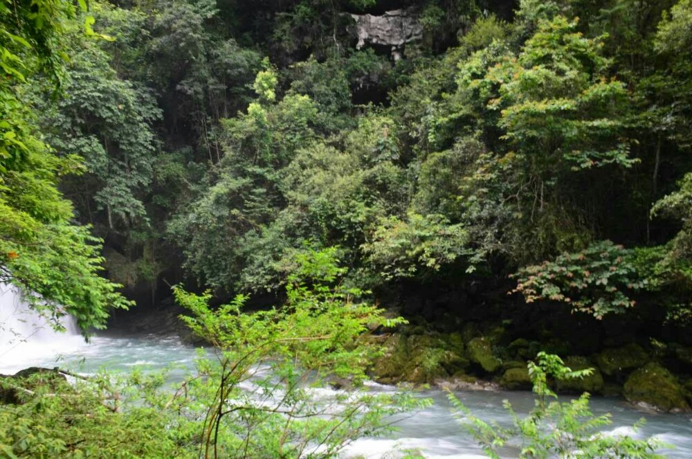 荔波茂兰国家级自然保护区