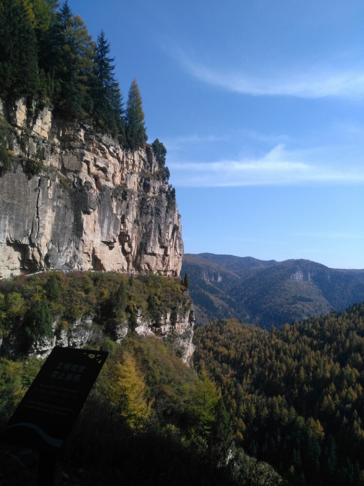 芦芽山