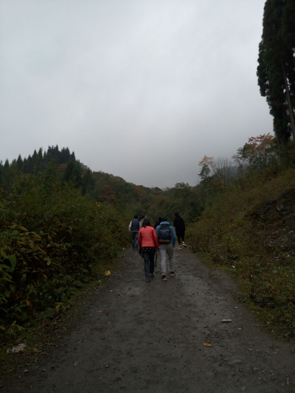 鸡冠山