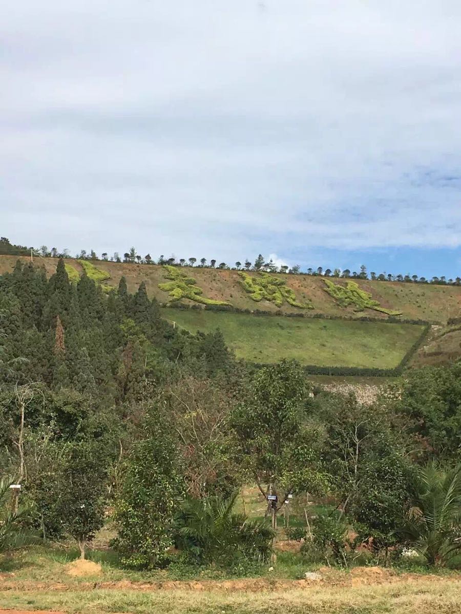 长虫山生态公园