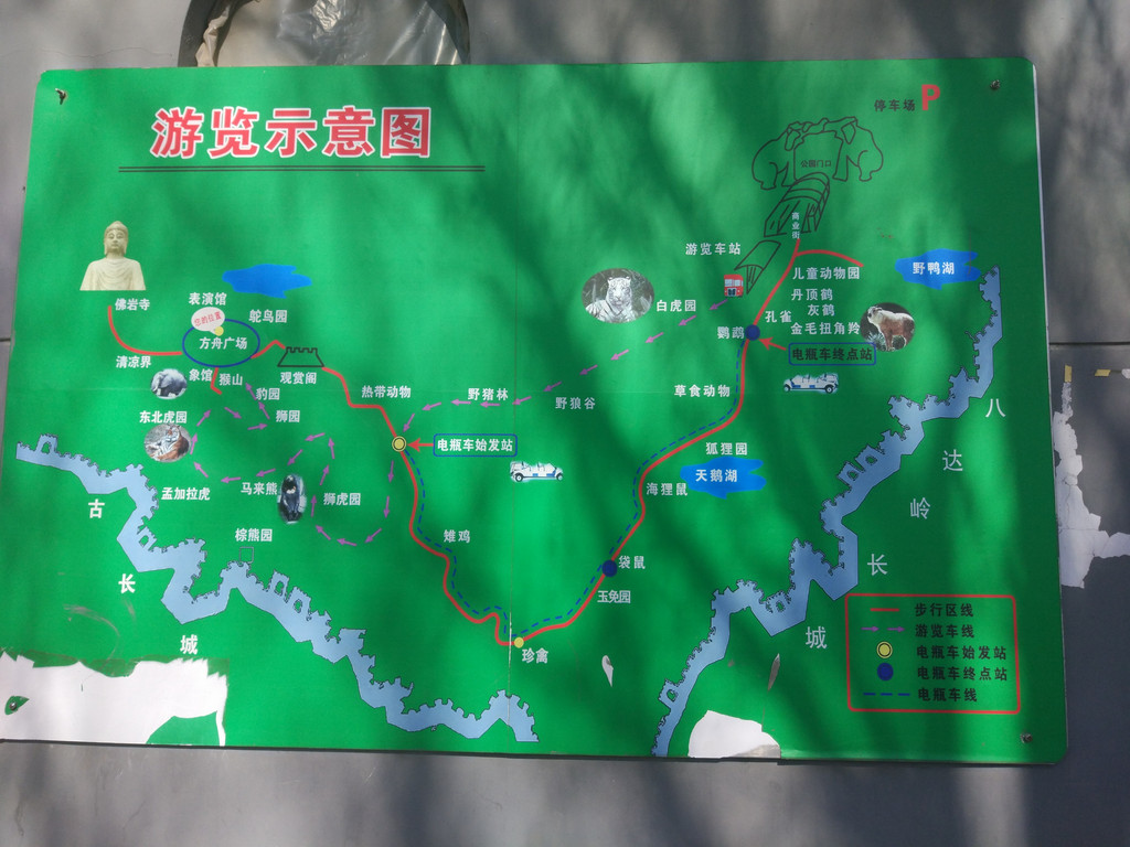 2017情人节 我和野兽有个约会【八达岭野生动物园一日游】