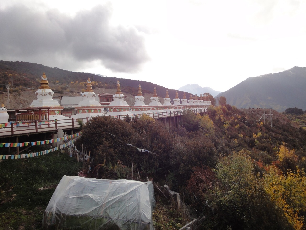 2019飞来寺_旅游攻略_门票_地址_游记点评,德钦旅游