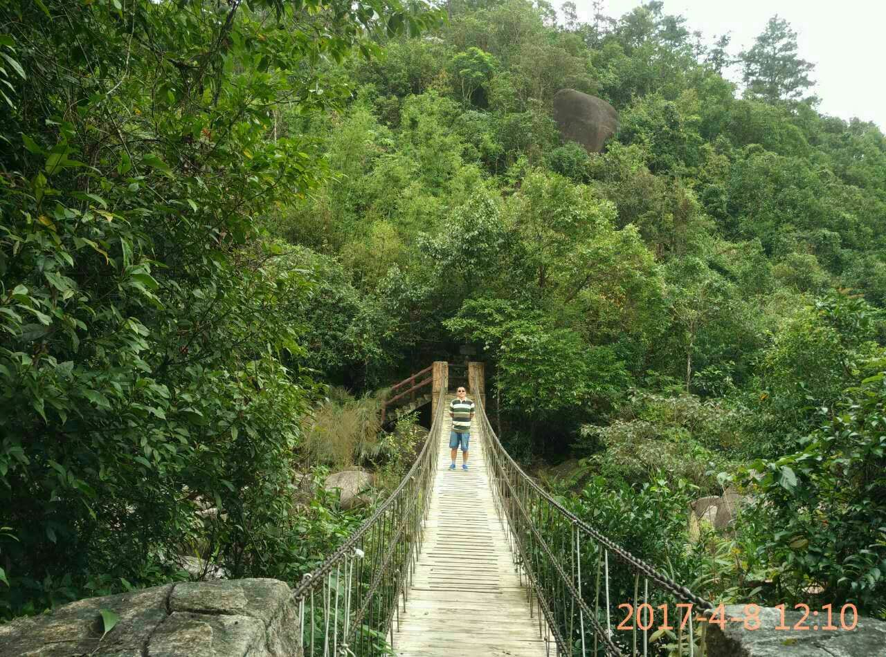 东兴屏峰雨林公园旅游景点攻略图