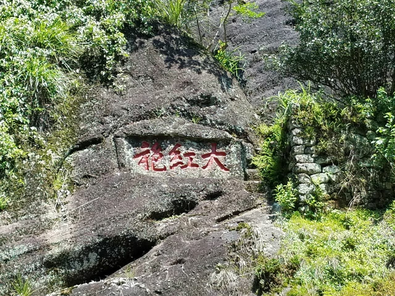 2019大红袍景区_旅游攻略_门票_地址_游记点评,武夷山