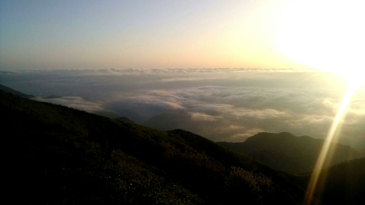 九岭山森林公园