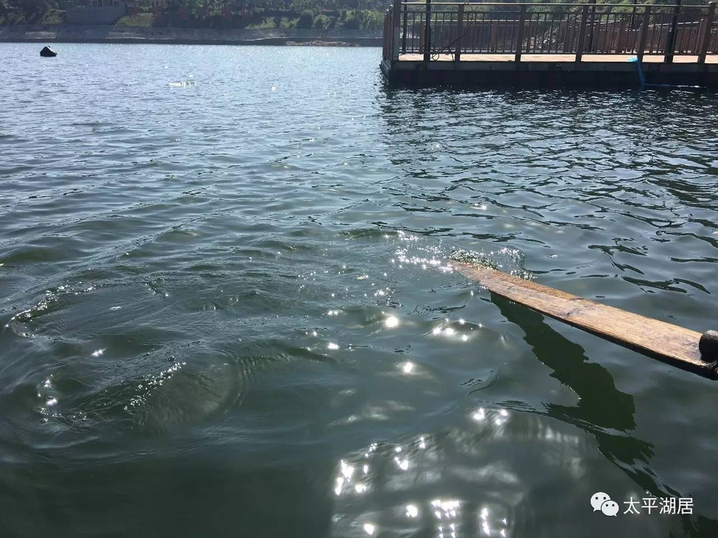 做渔民——撒网收网的一天