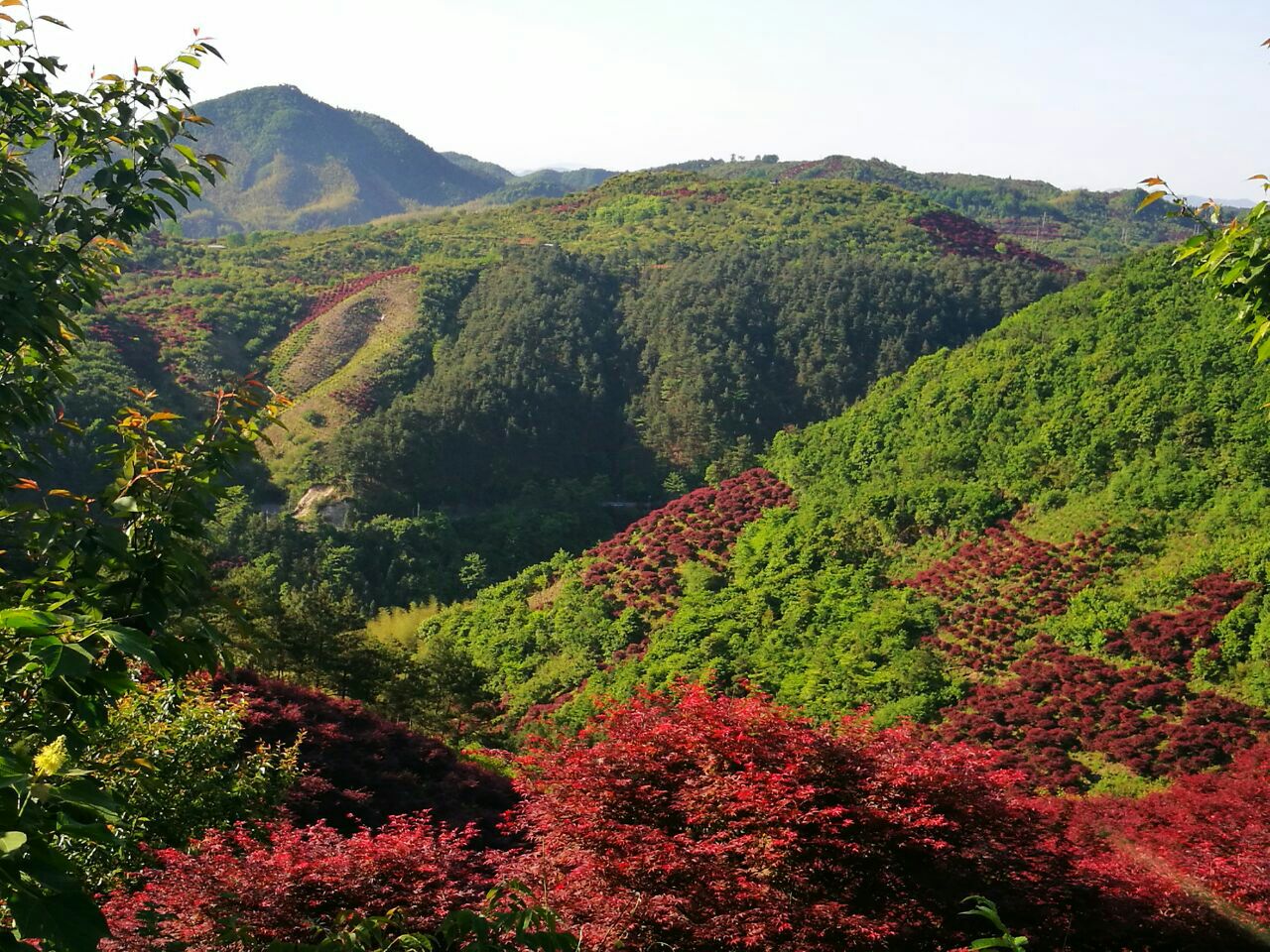 四明山国家森林公园旅游景点攻略图