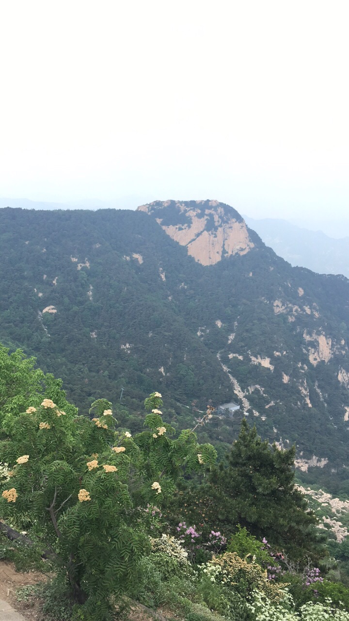 泰山风景区