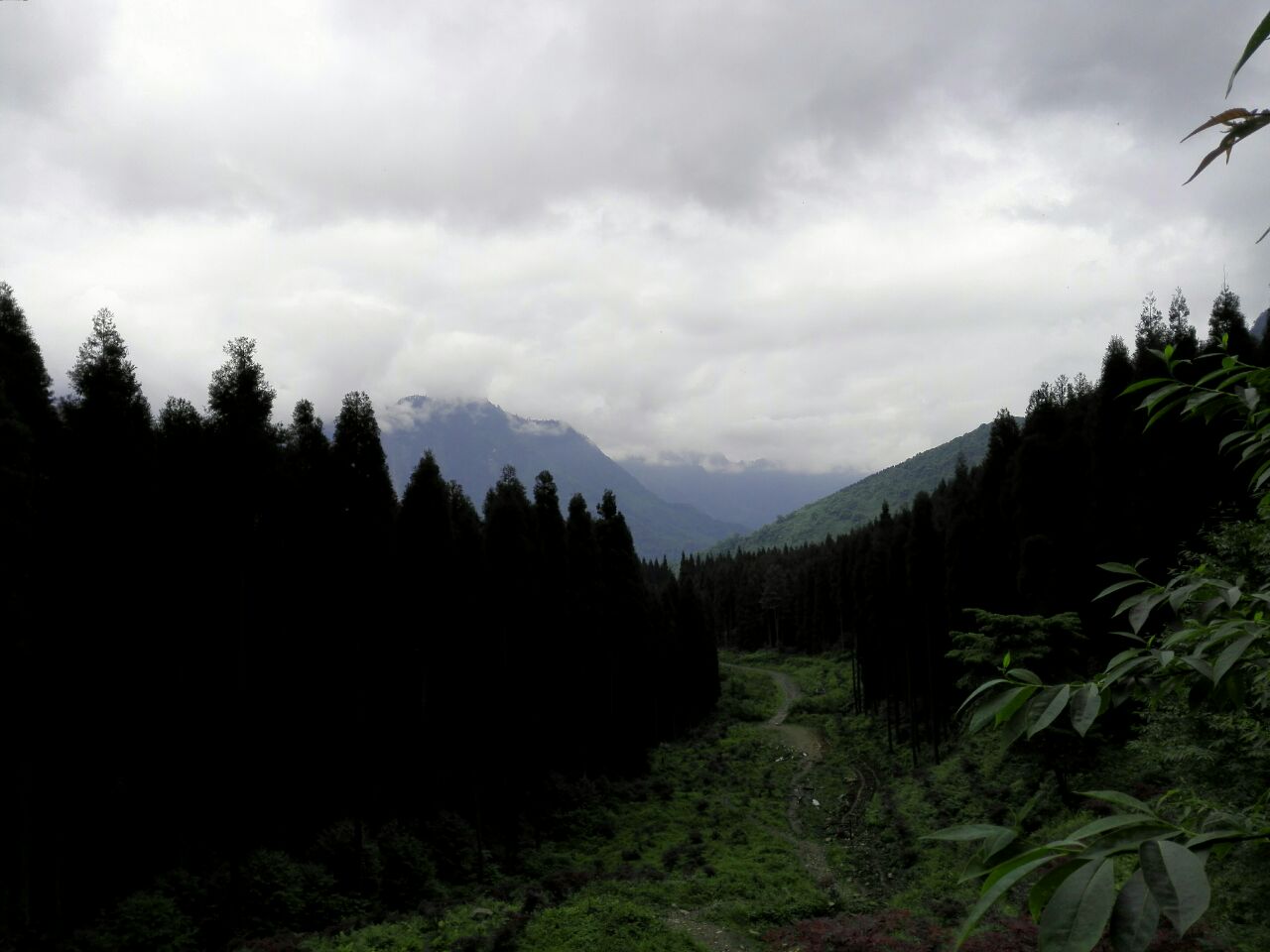 崇州鸡冠山好玩吗,崇州鸡冠山景点怎么样_点评_评价【携程攻略】