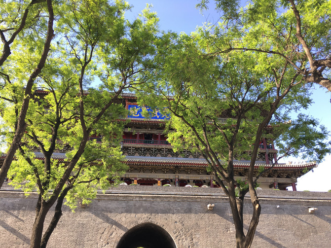最美在路上--一路向西,我的心藏行图片美食海鲜螺图片