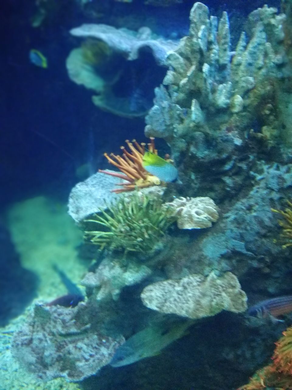 青岛海底世界旅游景点攻略图