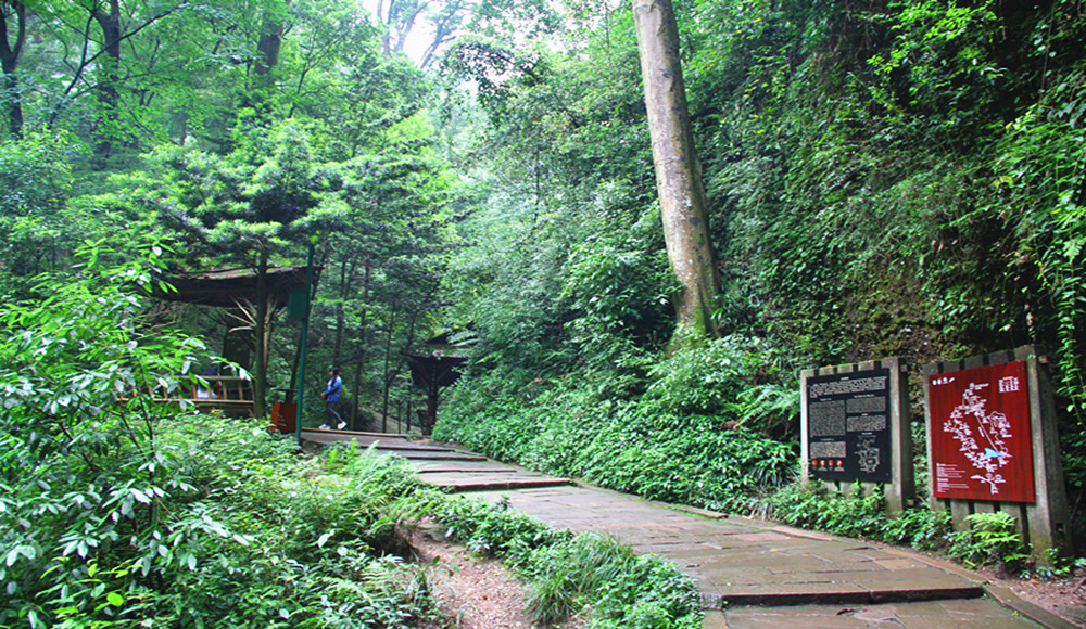 青城山道教第五洞天风光