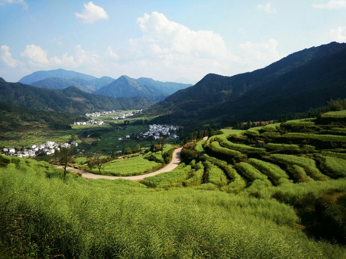 江岭景区是婺源旅游必去的目的地,最美的季节便是春天,尤其是3月底4