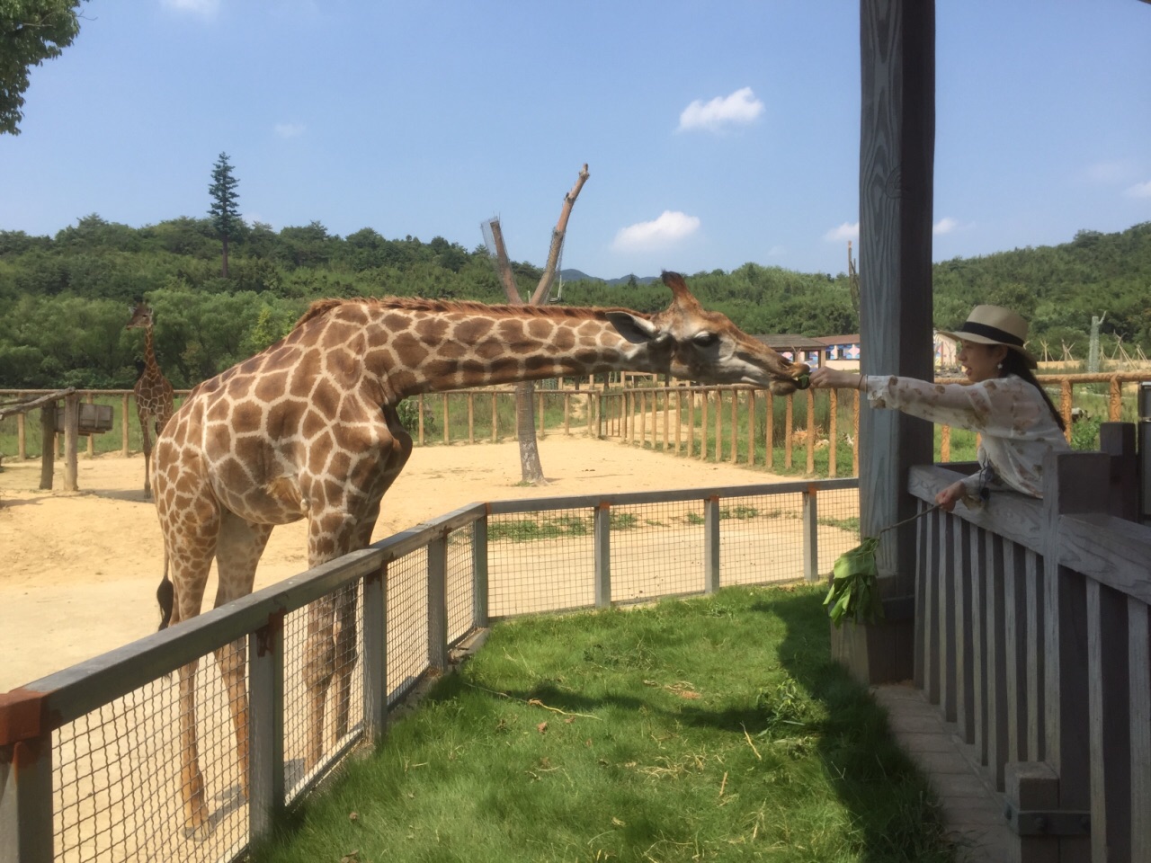 2019杭州野生动物世界_旅游攻略_门票_地址_游记点评,富阳旅游景点