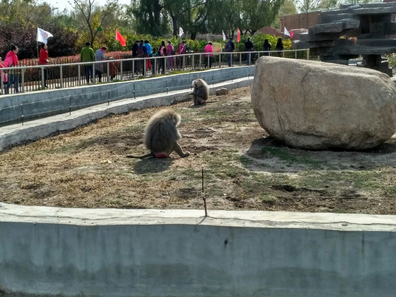 龙沙动植物园