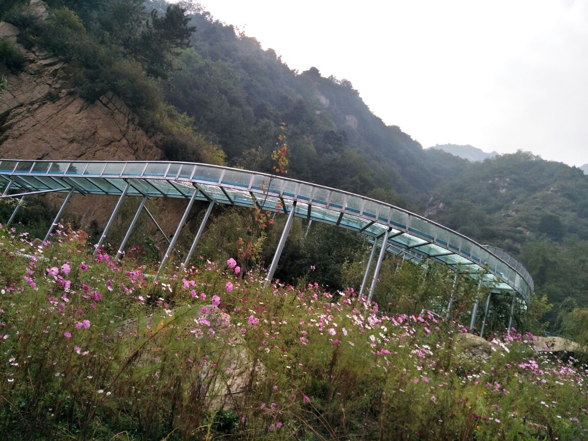 灵寿漫山花溪谷好玩吗,灵寿漫山花溪谷景点怎么样_点评_评价【携程