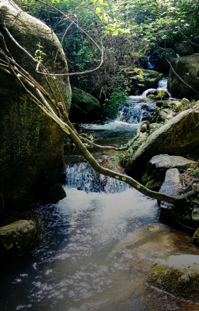 慈溪五磊山景区