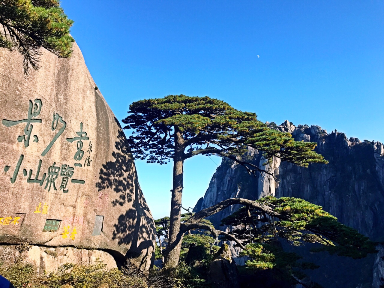 整个黄山风景区更是奇秀,四季皆宜,移步换景,重阳节一行,甚感大自然的