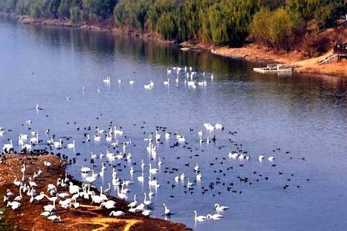 双龙湖湿地公园