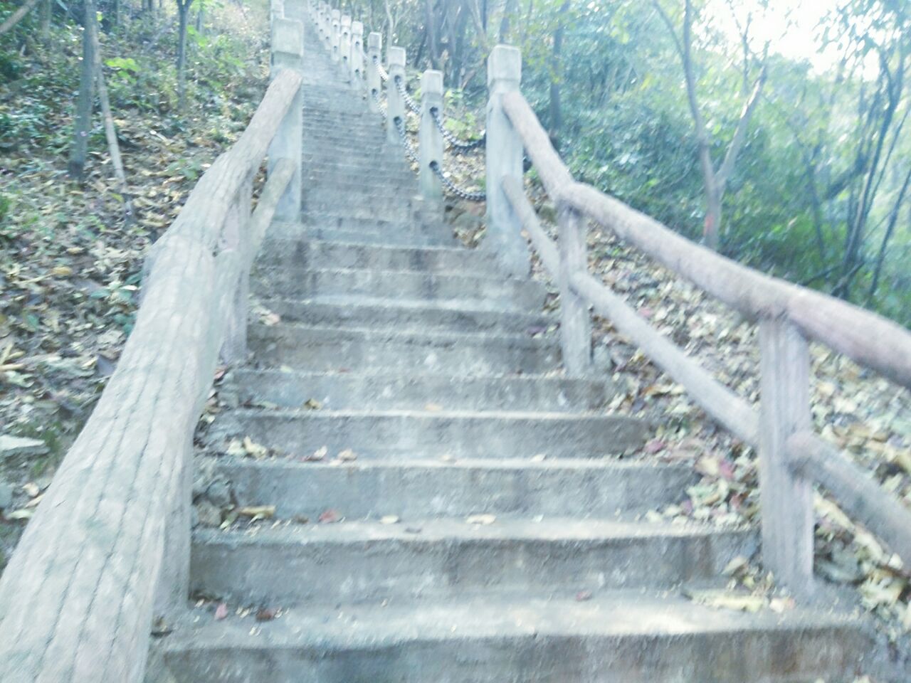 郴州王仙岭旅游风景区好玩吗,郴州王仙岭旅游风景区景点怎么样_点评