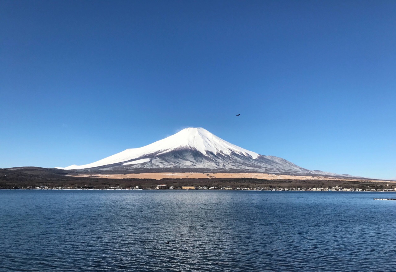 2019须走口五合目_旅游攻略_门票_地址_游记点评,富士