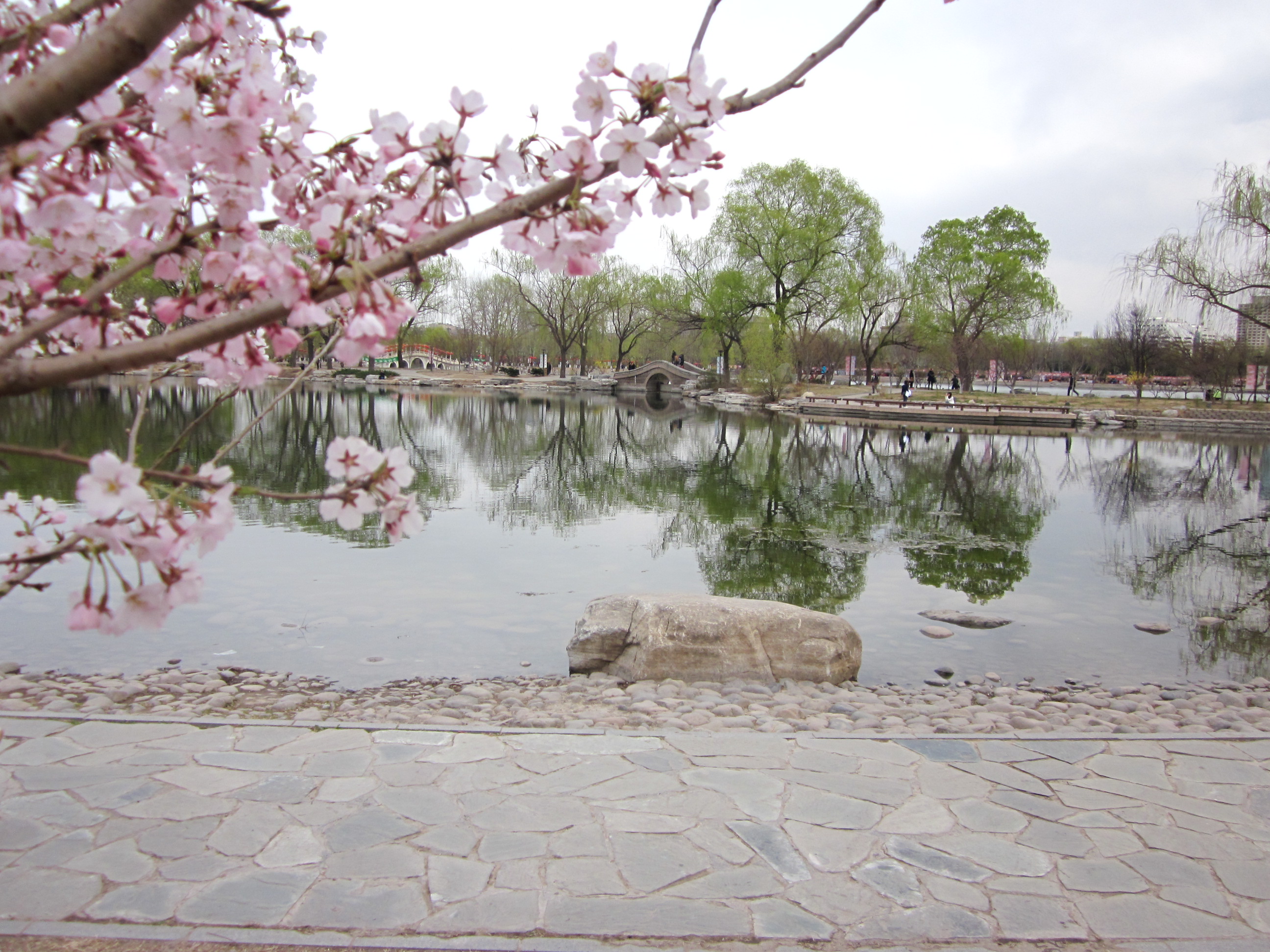 玉渊潭公园