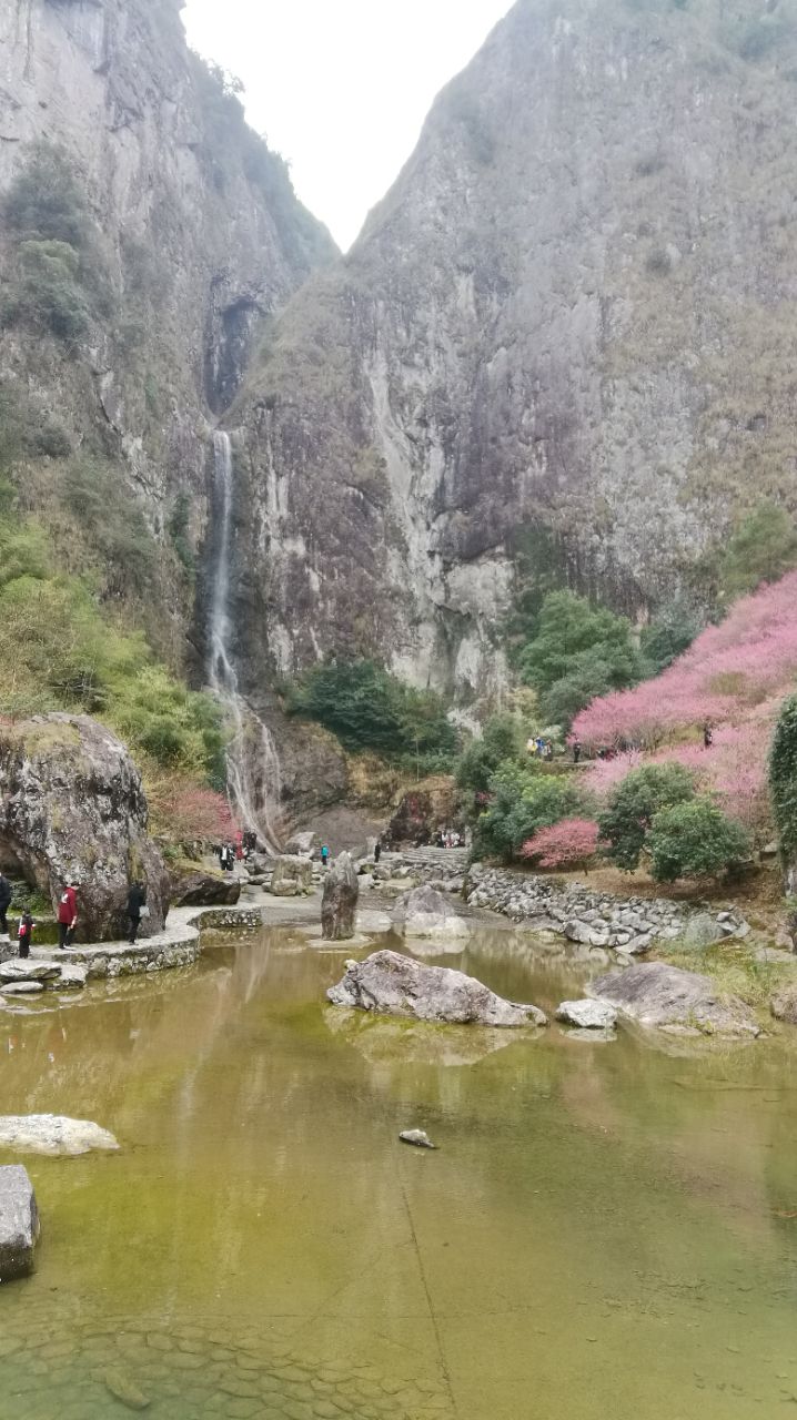 永嘉书院