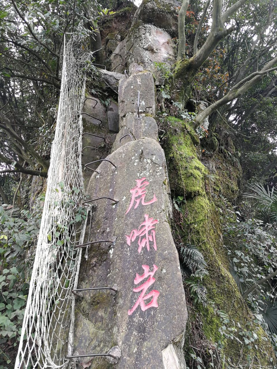 重庆圣灯山森林公园好玩吗,重庆圣灯山森林公园景点样