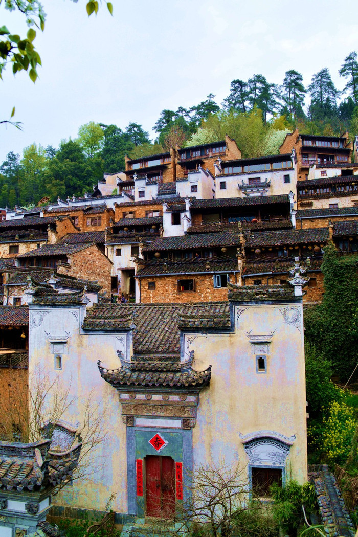 夏宁葆到婺源篁岭旅游.