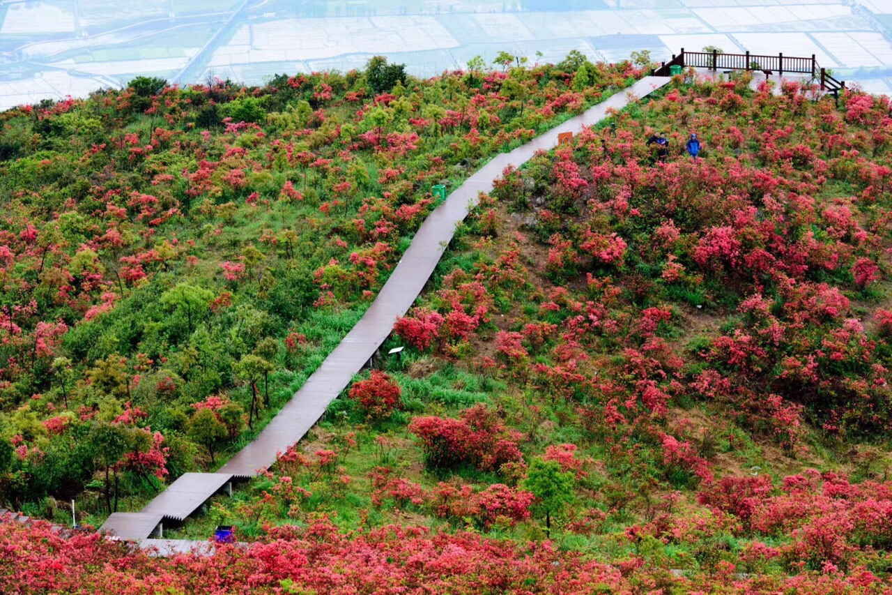 圣井山风景区