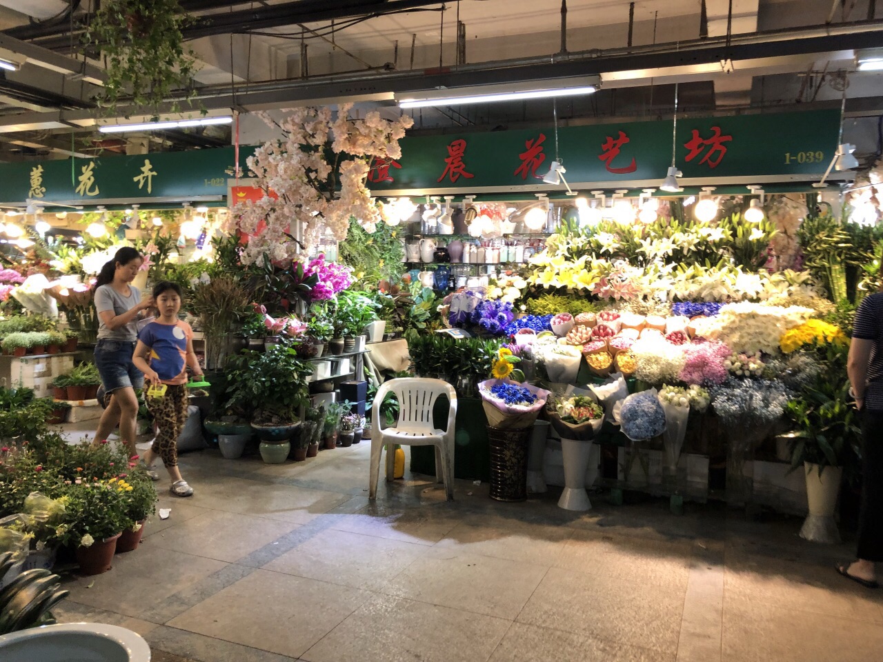 我们去的是吴山花鸟市场,一楼都是花市,学校的科学课要求养凤仙花