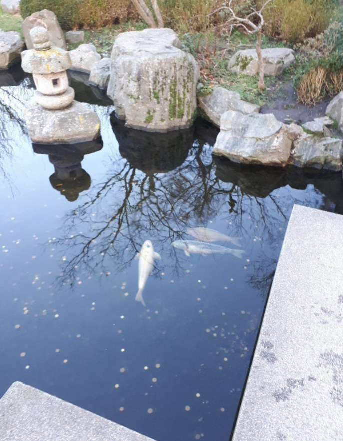 邦希田园