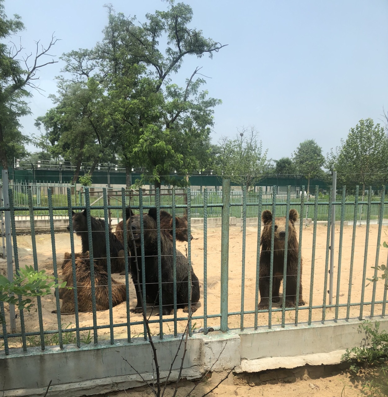 秦皇岛野生动物园