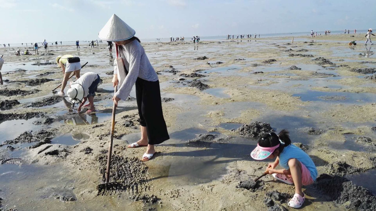 红树林天天赶海