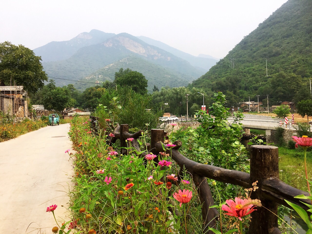 去波峰岭路上,鸟语花香的幽岚山风景区吸引游人前往,这里免费入园