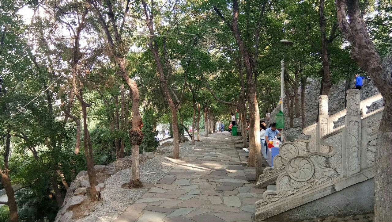 紫荆山公园旅游景点攻略图