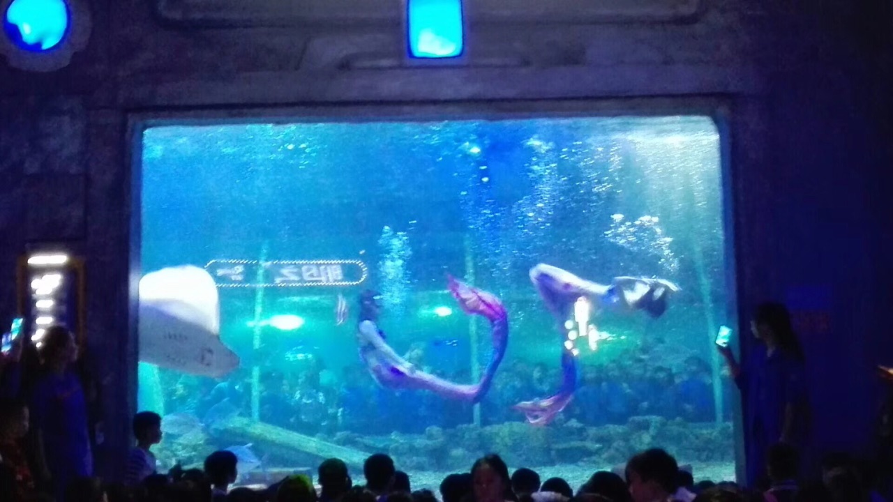 长沙海底世界旅游景点攻略图