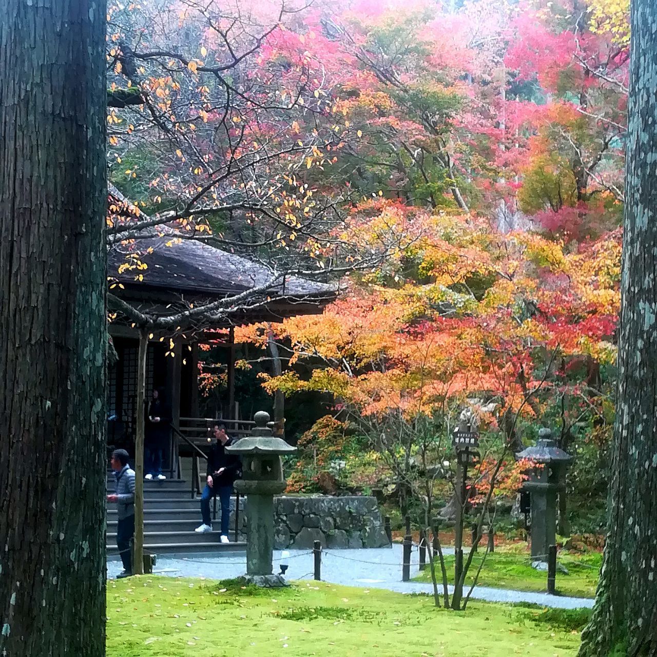 京都三千院好玩吗,京都三千院景点怎么样_点评_评价