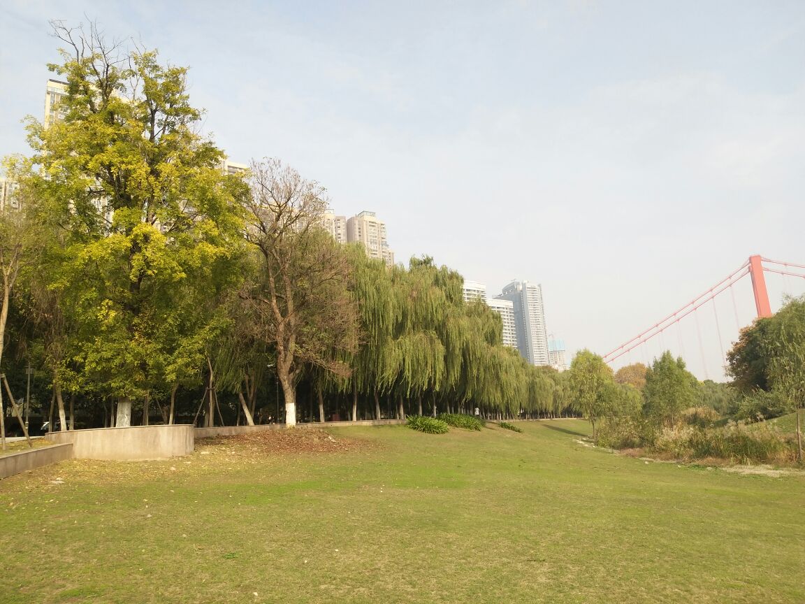 2022鹦鹉洲汉阳桥梁主题公园游玩攻略.木,专家推断是唐诗中"晴.