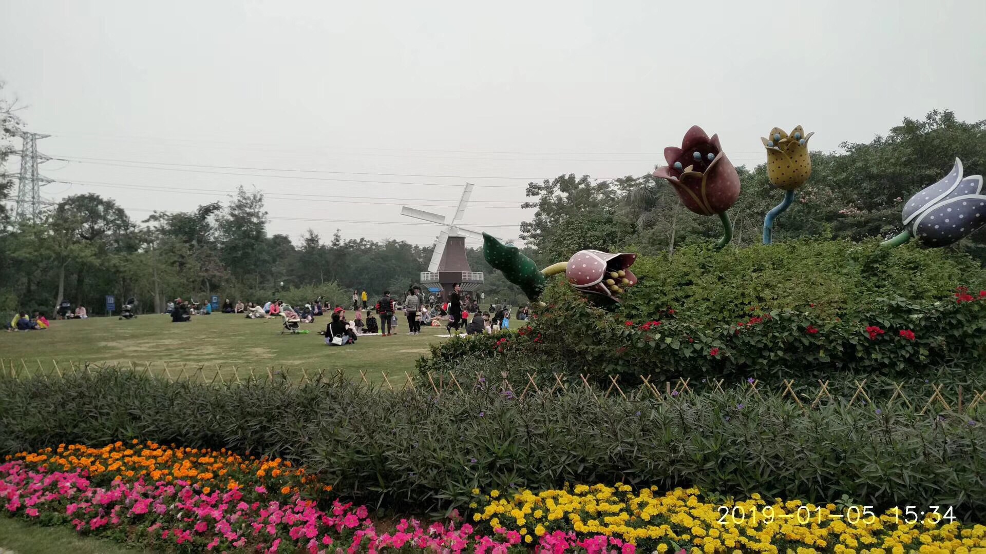 荷兰花卉小镇