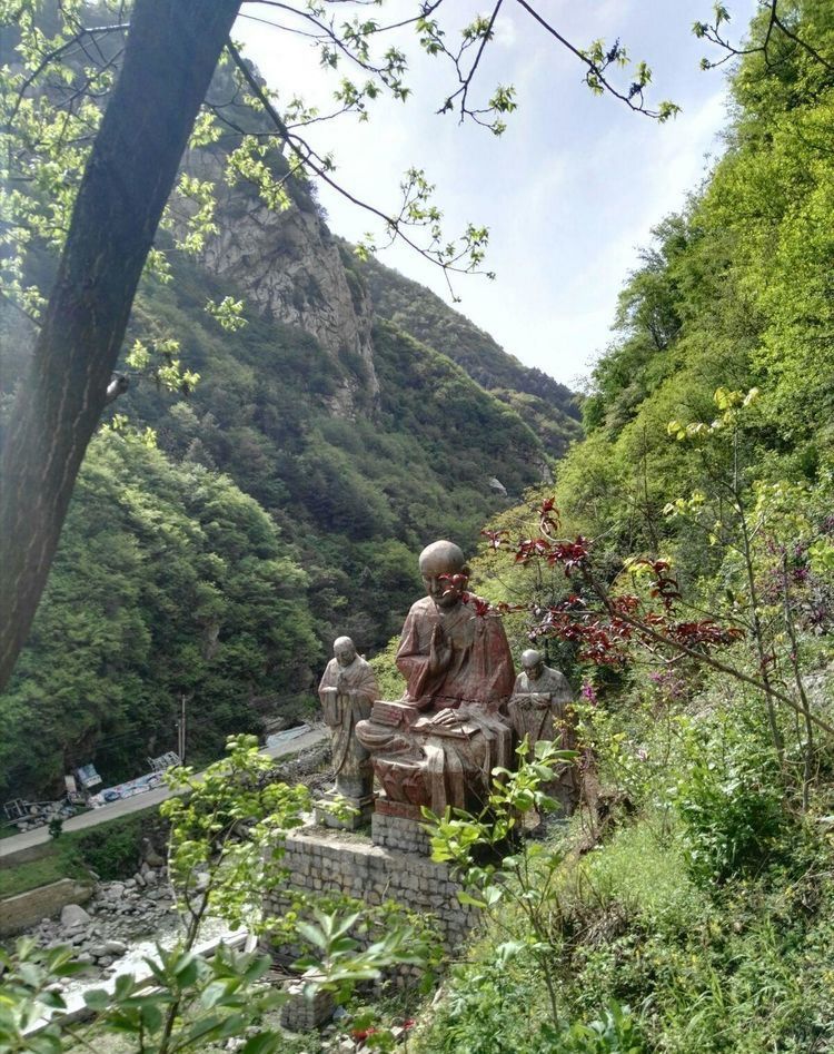 莲花山森林公园